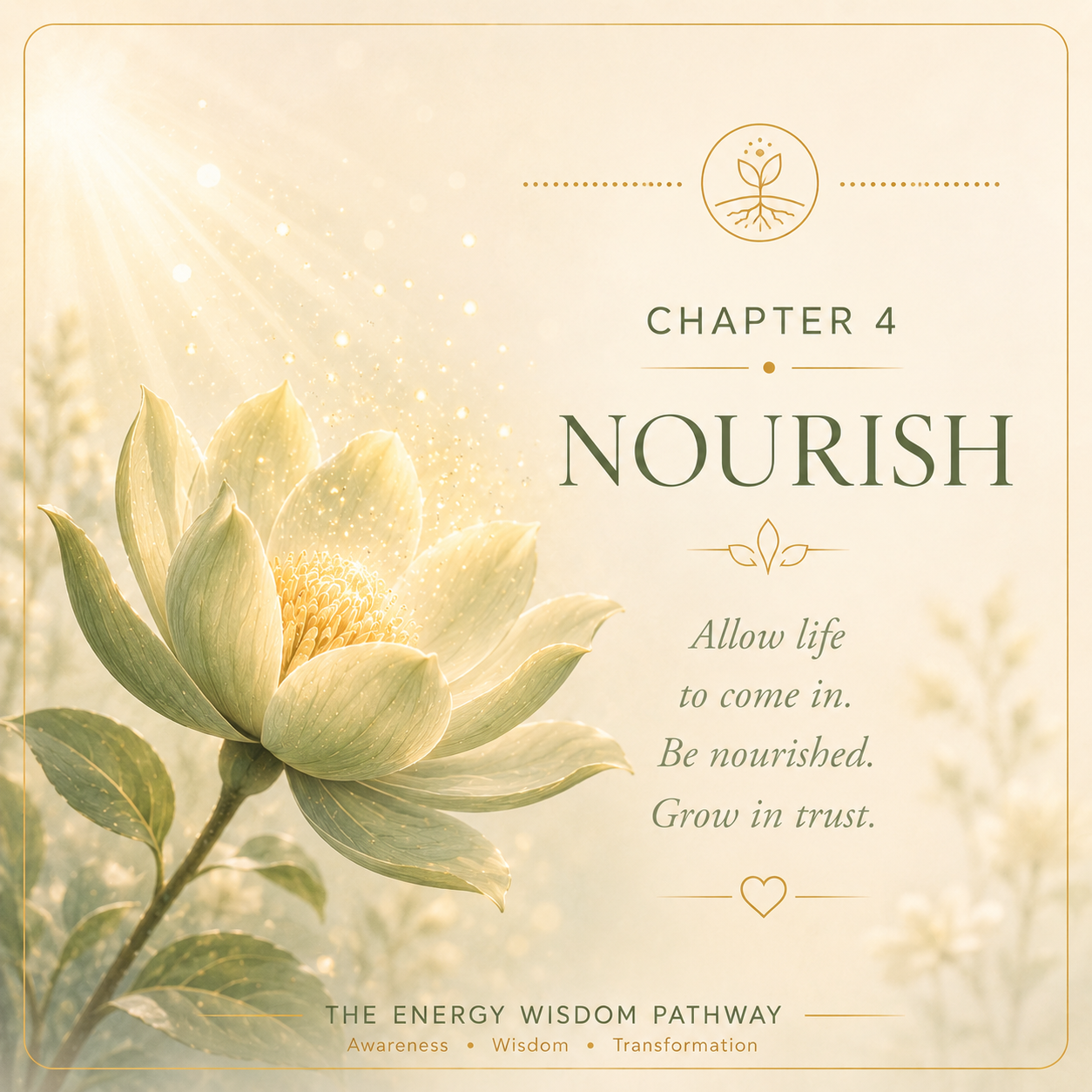 Nourish
